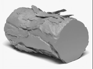 wood log - 8k scan 3D Model