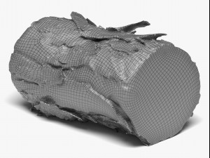 wood log - 8k scan Model 3D