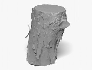 wood log - 8k scan Model 3D