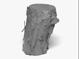 wood log - 8k scan Model 3D