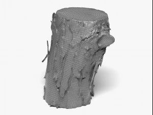 wood log - 8k scan 3D Model