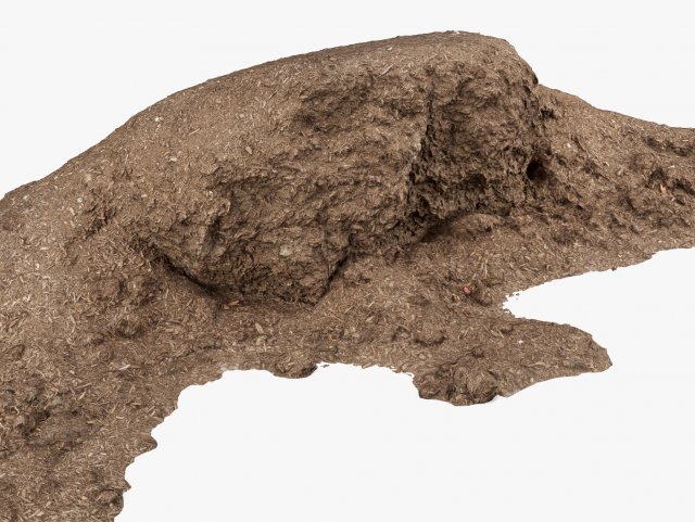 mulch pile - 8k scan 3D Modell .c4d .max .obj .3ds .fbx .stl .blend