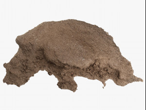 mulch pile - 8k scan 3D Modell
