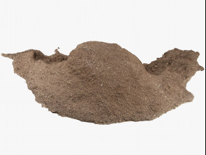 mulch pile - 8k scan 3D Modell