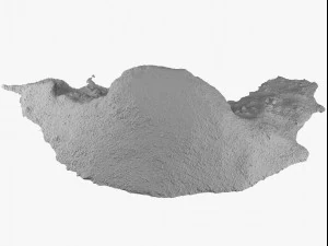 mulch pile - 8k scan 3D Model
