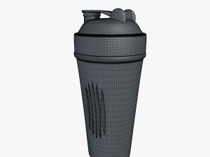 shaker bottle 3D Model