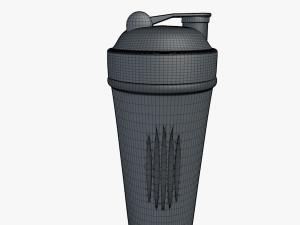 shaker bottle 3D Model