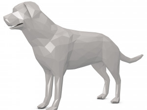 dog low poly Model 3D