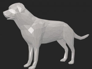 dog low poly 3D Model