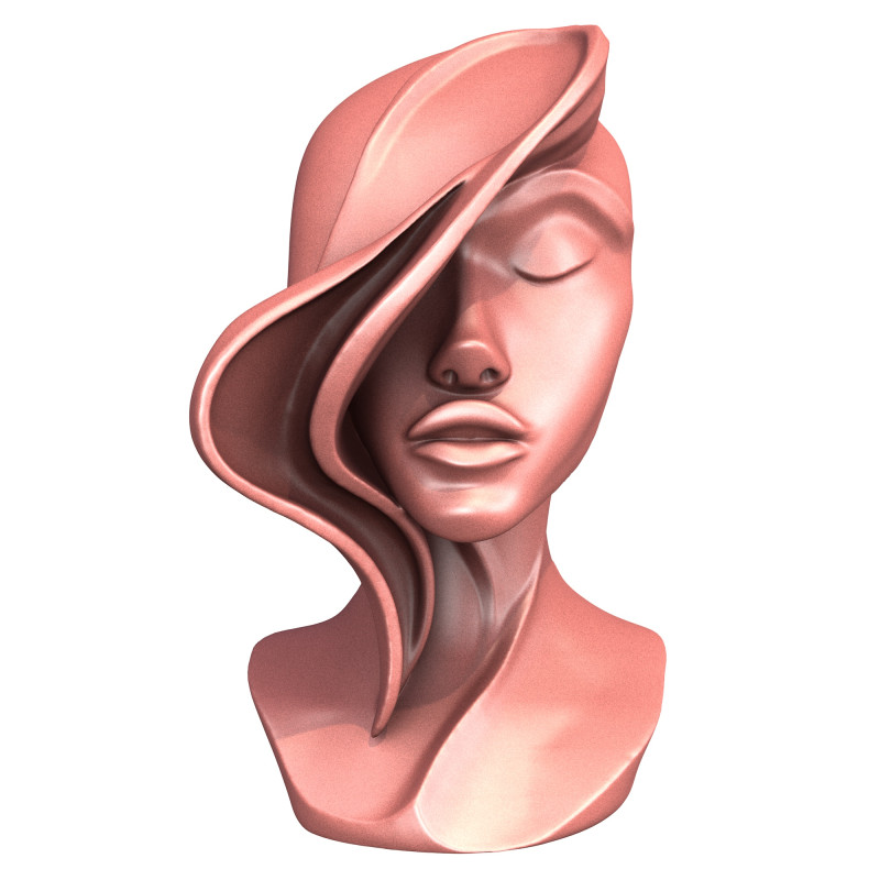 Abstract Woman Portrait Sculpture Model 3D .c4d .max .obj .3ds .fbx .stl .blend 
