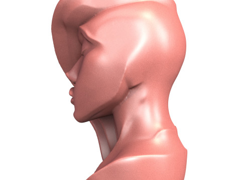 Abstract Woman Portrait Sculpture Model 3D