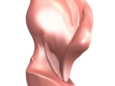 Abstract Woman Portrait Sculpture Model 3D