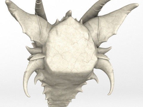 Gargoyle Dragon Head 8 3Dモデル