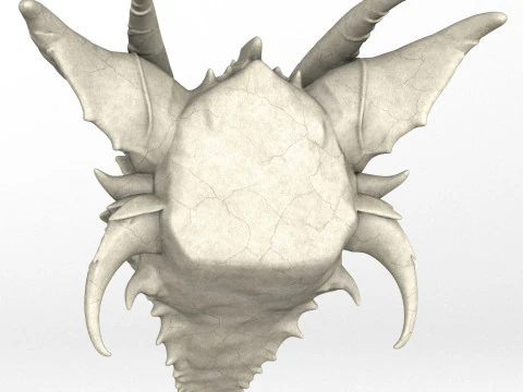 Gargoyle Dragon Head 8 3D Model