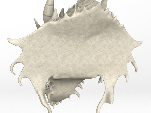 Gargoyle Dragon Head 9 Modèle 3D