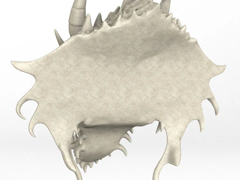 Gargoyle Dragon Head 9 3D Model