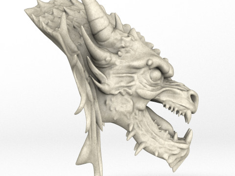 Gargoyle Dragon Head 9 Modèle 3D