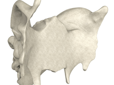 Gargoyle Dragon Head 10 Modèle 3D