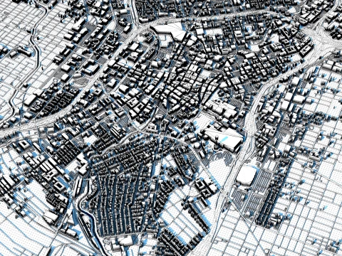 Cityscape San Antonio Bexar County Texas United States Map 3D Model