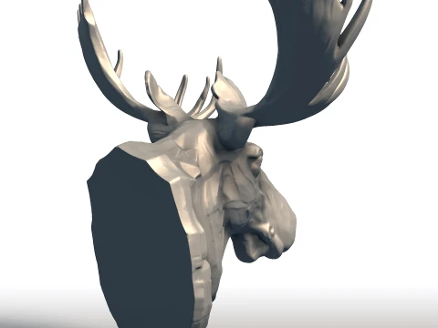 Moose Head Wall Sculpture - Majestic Wildlife Trophy - Bull Moose Antlers Decor 3D Print Model