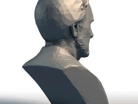 Liam Neeson Low Poly Bust - Actor Portrait Sculpture - Geometric Famous Actor Model 3D Print Model