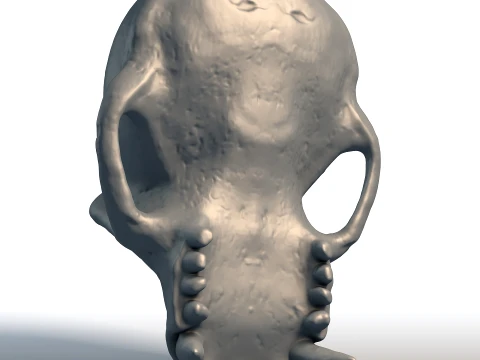 Monkey Skull - Primate Anatomy Sculpture - Biological Replica for Printing 3D Print Model