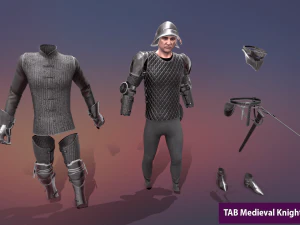 tab medieval knight - 6 3D Model