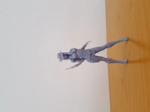 сексуальная наездница 3D Принт Модель