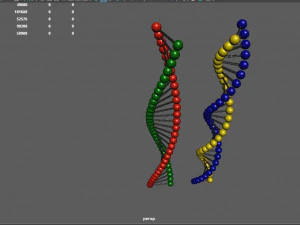 keten van DNA 3D Model