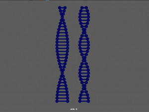chain of dna 3D Model