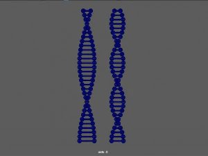 chain of dna 3D Model
