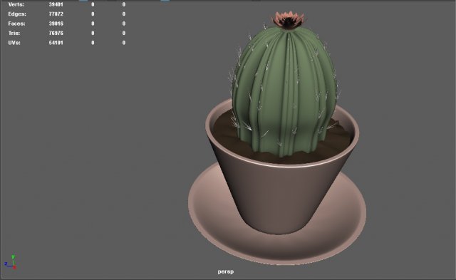 cactus in a pot 3D Model .c4d .max .obj .3ds .fbx .stl .blend 