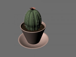 cactus in a pot 3D Model