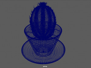 cactus in a pot 3D Model