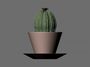 cactus in a pot 3D Model