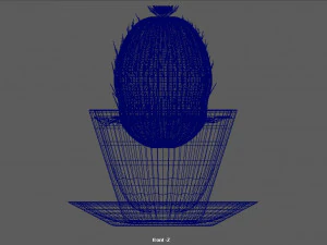 cactus in a pot 3D Model
