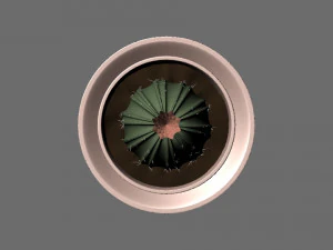 cactus in a pot 3D Model