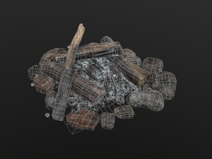 the bonfire Modello 3D