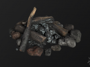 the bonfire Modello 3D