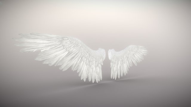 angel or bird wings 3D Модель .c4d .max .obj .3ds .fbx .stl .blend 