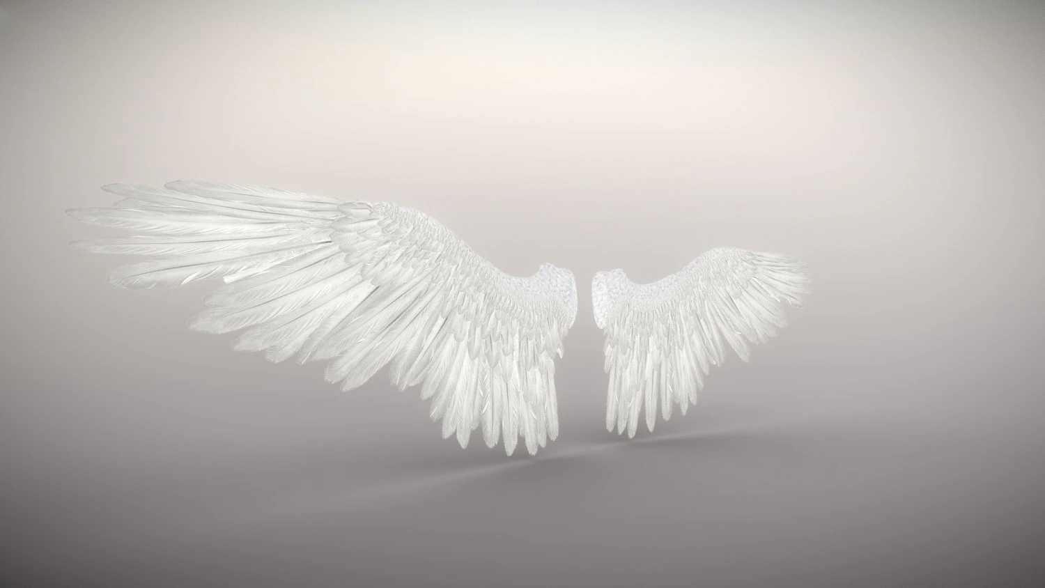 angel or bird wings 3D Model .c4d .max .obj .3ds .fbx .stl .blend 
