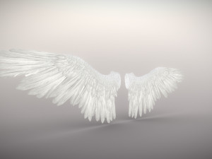 angel or bird wings 3D Model