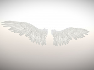 angel or bird wings 3D Модель