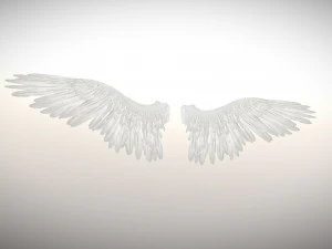 angel or bird wings 3D Model