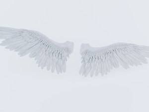 angel or bird wings 3D Модель