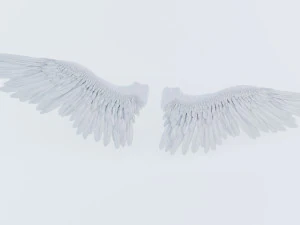 angel or bird wings 3D Model