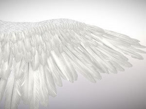angel or bird wings 3D Модель