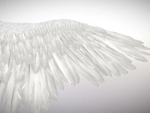 angel or bird wings 3D Model
