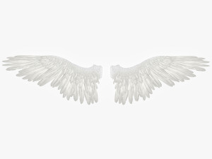 angel or bird wings 3D Модель