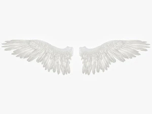 angel or bird wings 3D Model